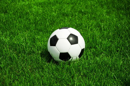 天天盈球足球即时比分多平台下载